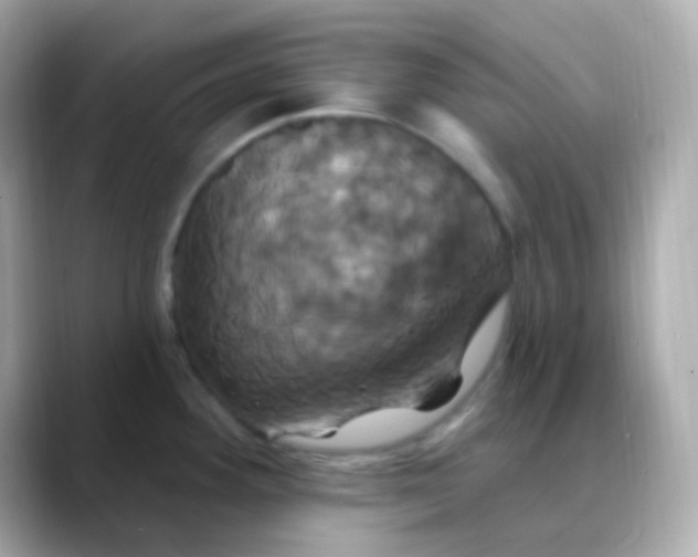 X0000088471292200706051335