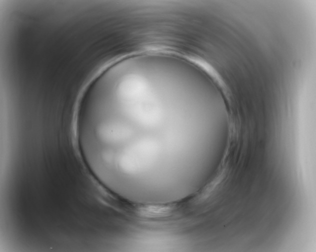 X0000088471294200706051335