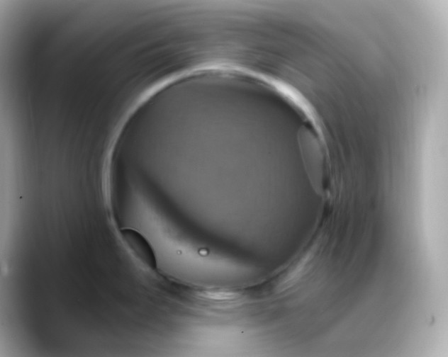 X0000088471295200706051335