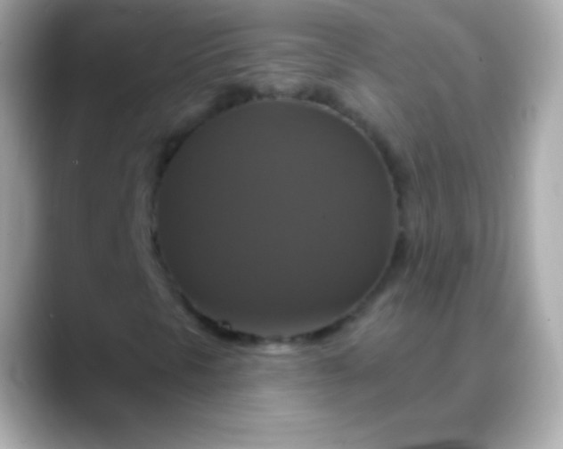 X0000088471297200706051335