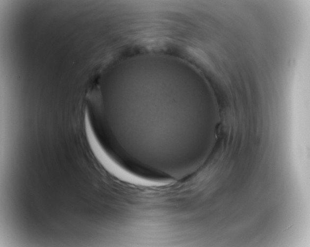 X0000088471298200706051335