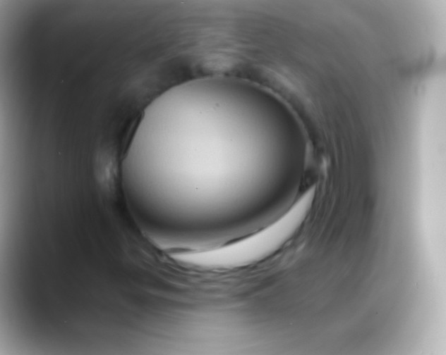 X0000088471299200706051335