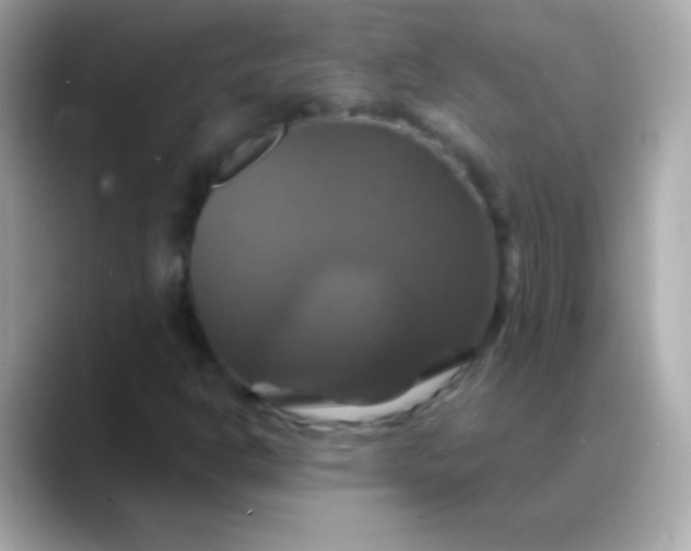 X0000088471302200706051335