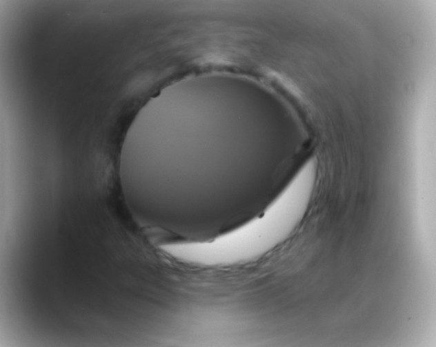 X0000088471303200706051335