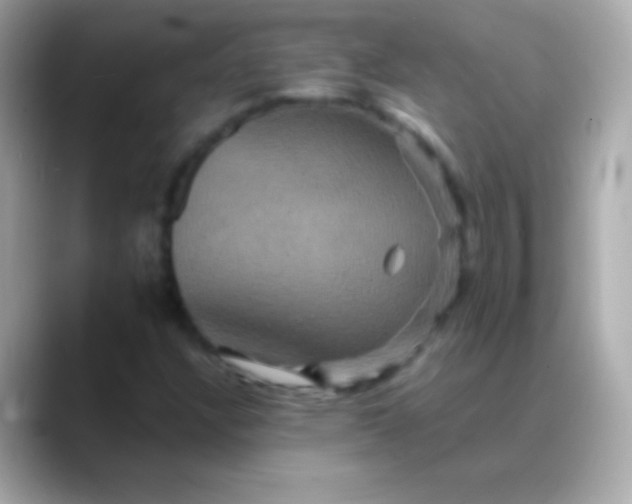 X0000088471304200706051335