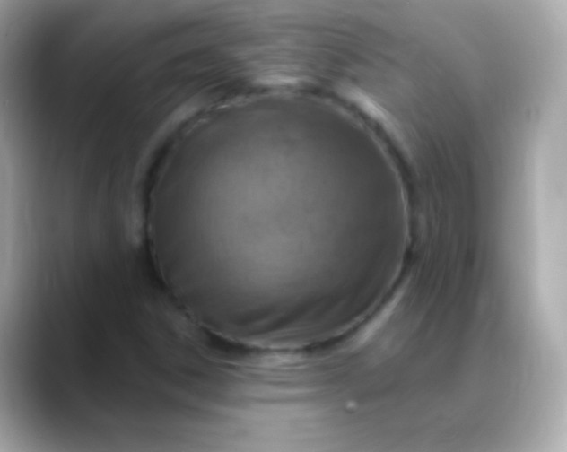 X0000088471306200706051335