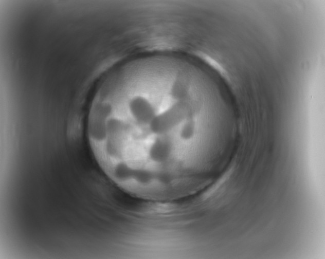 X0000088471309200706051335