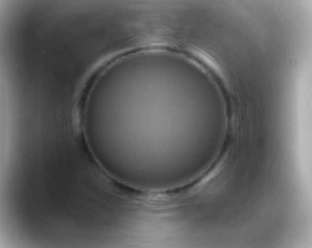 X0000088471310200706051335