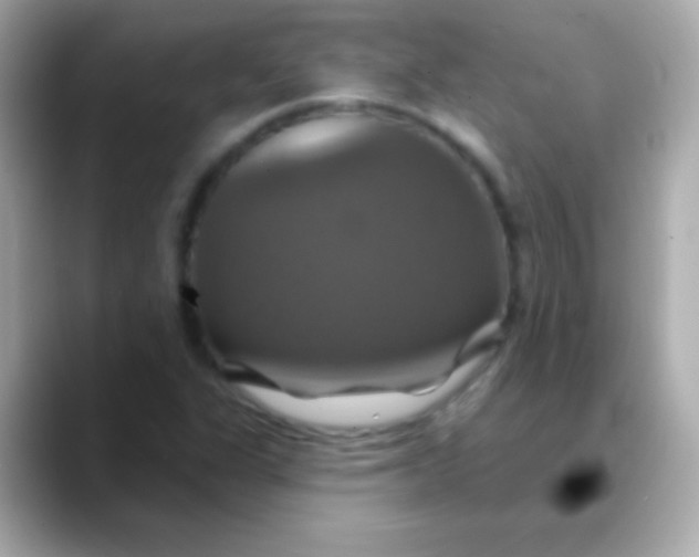 X0000088471311200706051335