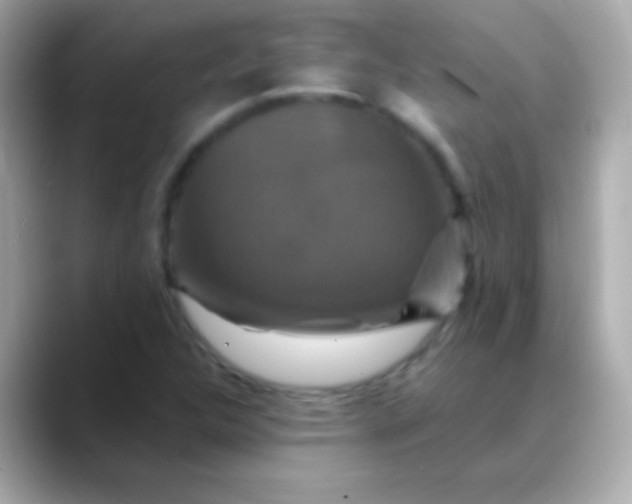 X0000088471312200706051335