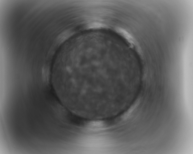 X0000088471313200706051335