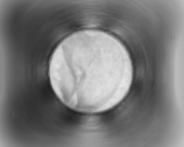 X0000088471314200706051335