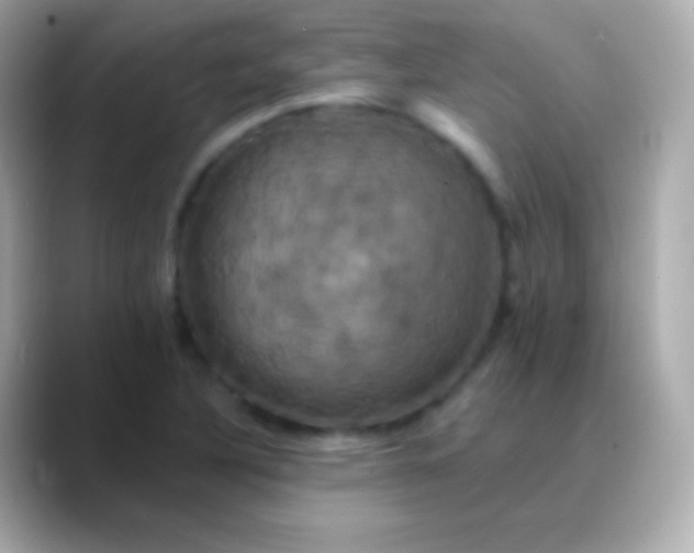 X0000088471316200706051335