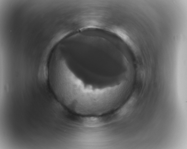 X0000088471317200706051335