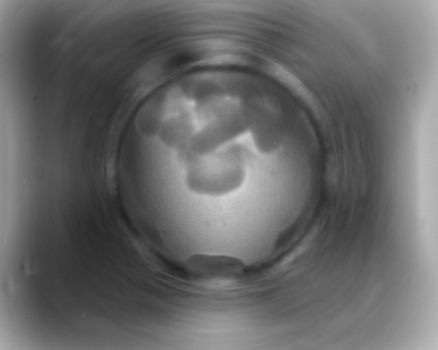 X0000088471321200706051335