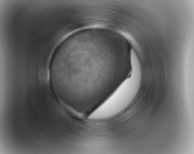 X0000088471324200706051335