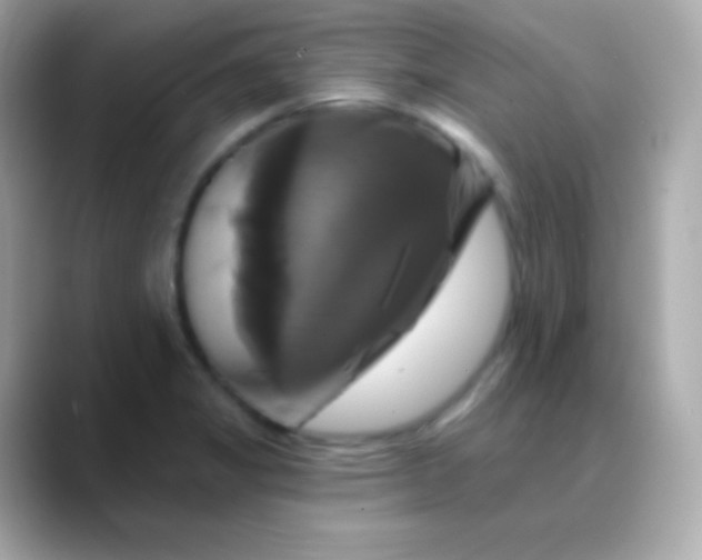 X0000088471325200706051335