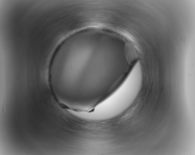 X0000088471326200706051335