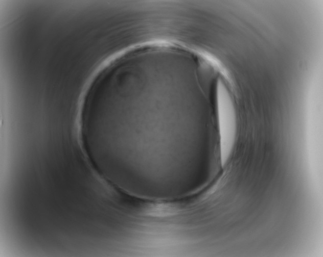 X0000088471327200706051335