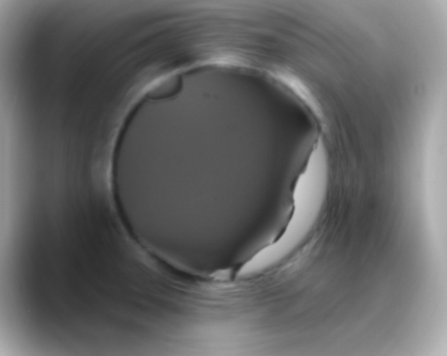 X0000088471331200706051335