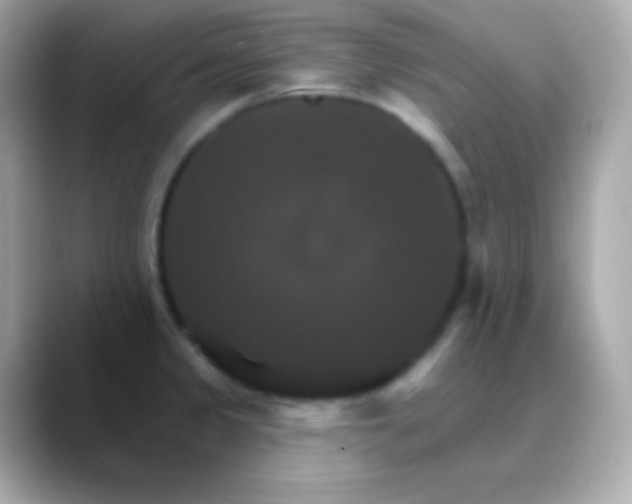 X0000088471333200706051335