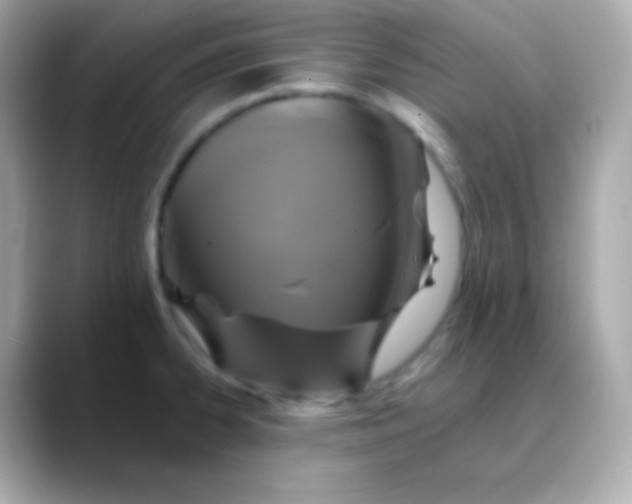 X0000088471334200706051335