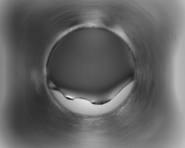 X0000088471335200706051335