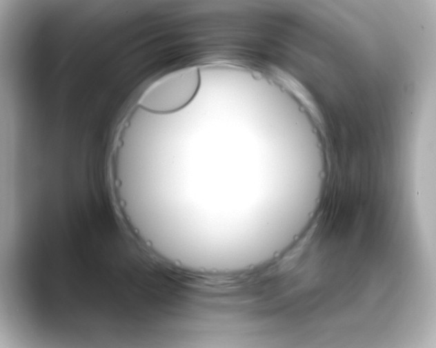 X0000088471338200706051335