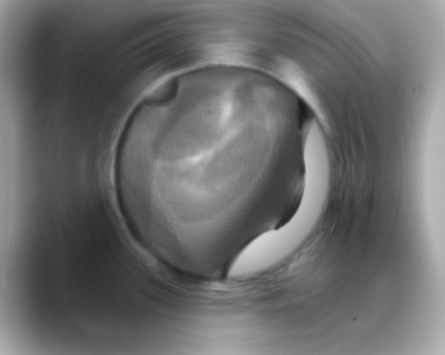 X0000088471339200706051335