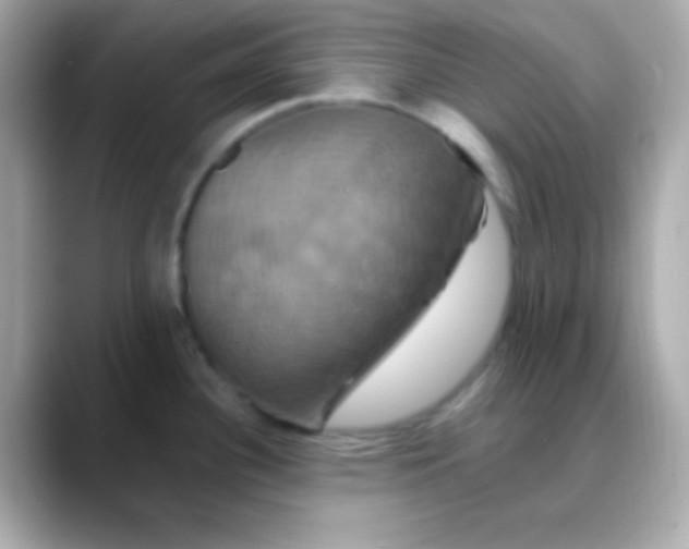 X0000088471340200706051335