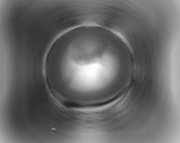 X0000088471342200706051335