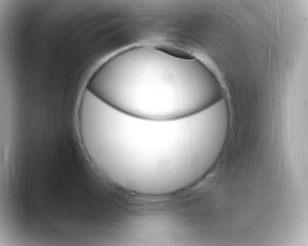 X0000088471344200706051335