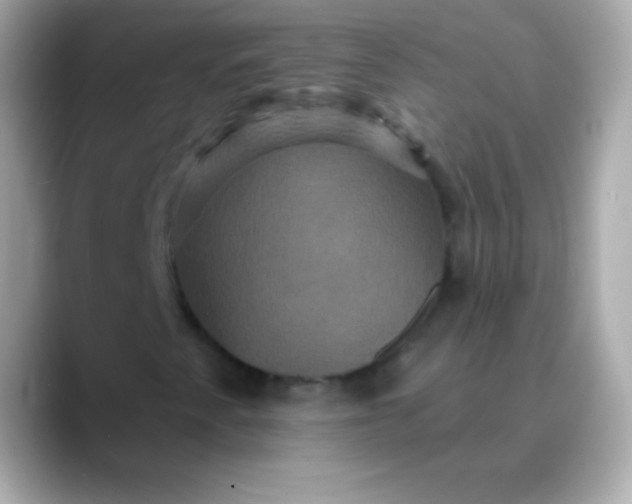 X0000088471345200706051335