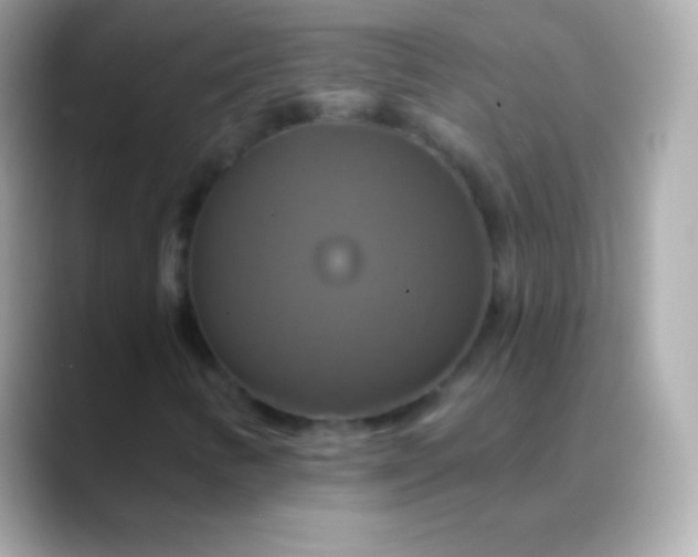 X0000088471346200706051335