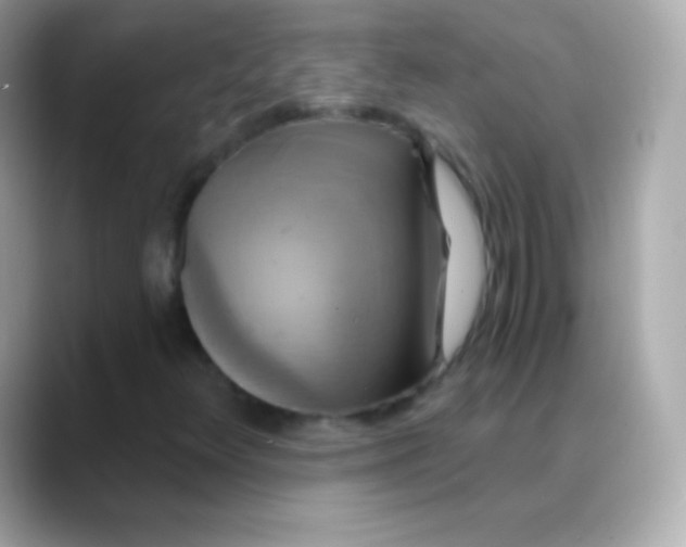 X0000088471348200706051335