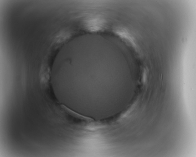 X0000088471349200706051335