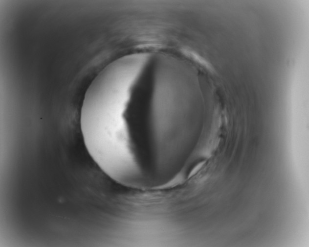 X0000088471351200706051335