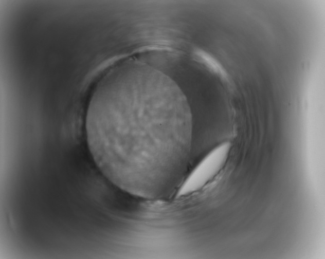 X0000088471352200706051335