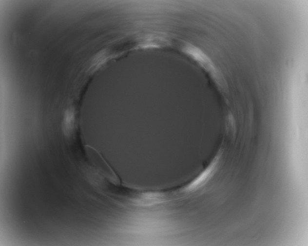 X0000088471353200706051335