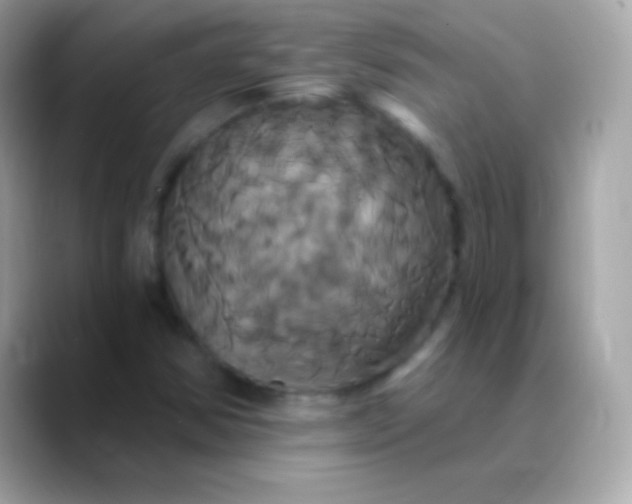 X0000088471354200706051335