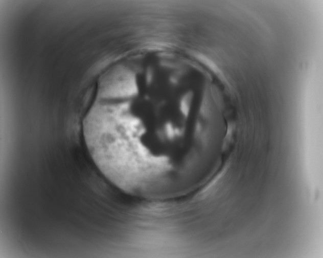 X0000088471355200706051335