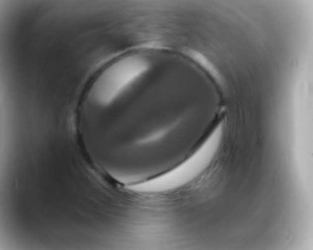 X0000088471356200706051335