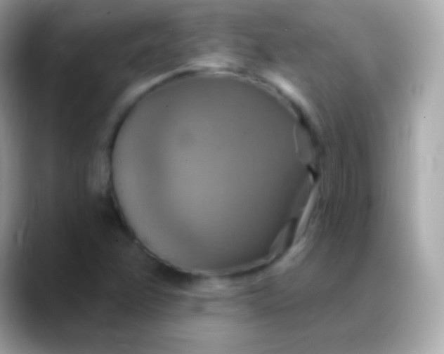 X0000088471358200706051335