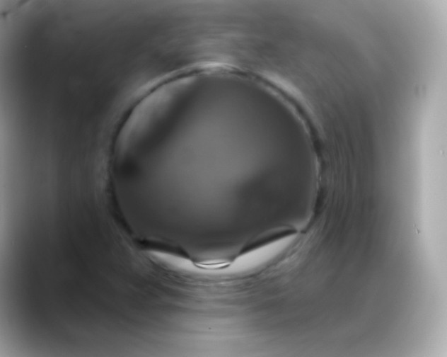 X0000088471359200706051335