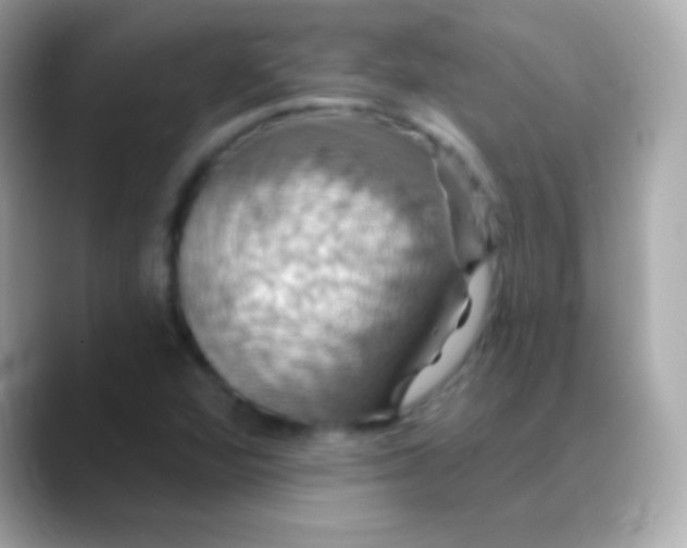 X0000088471360200706051335