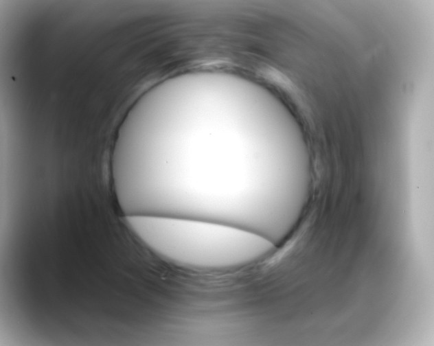 X0000088471361200706051335