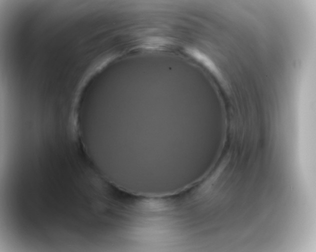 X0000088471362200706051335