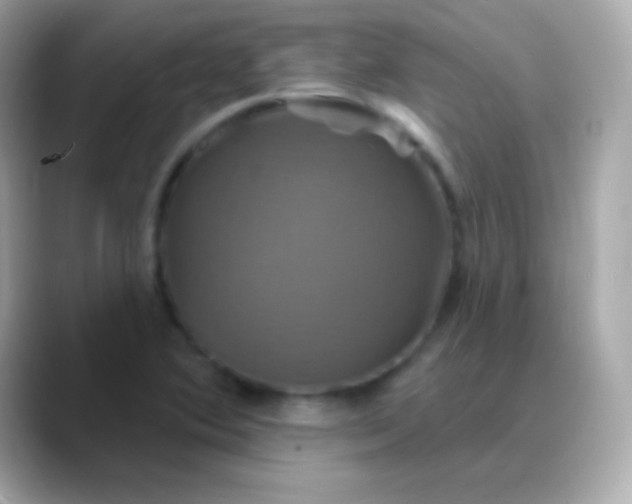 X0000088471364200706051334