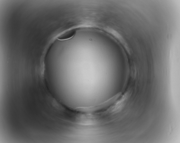 X0000088471366200706051334