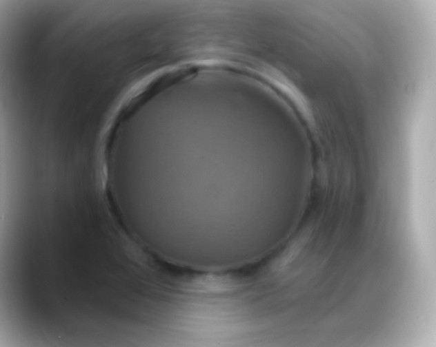 X0000088471368200706051334